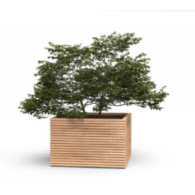 Hardhouten plantenbak Malaga 120x120x75cm