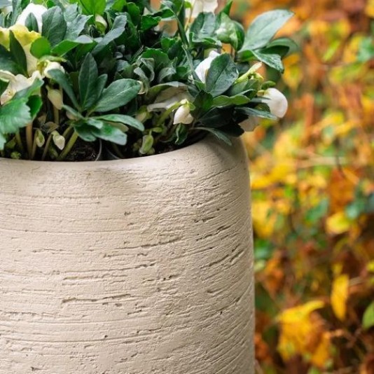 Stonecore plantenbak Moya 115x80cm