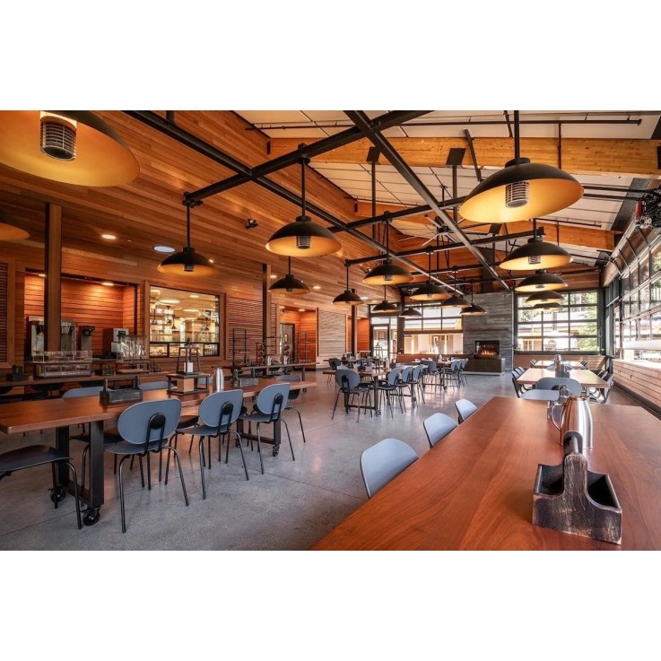 Heatsail Dome FS terrasheater met verlichting - voor plafondbevestiging