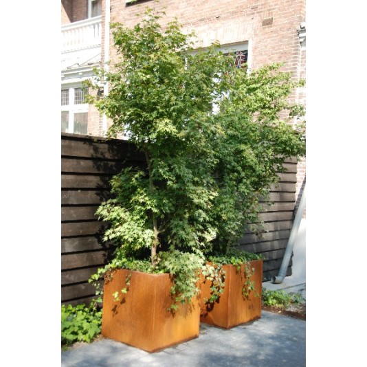 Cortenstalen plantenbak 50x50x50cm