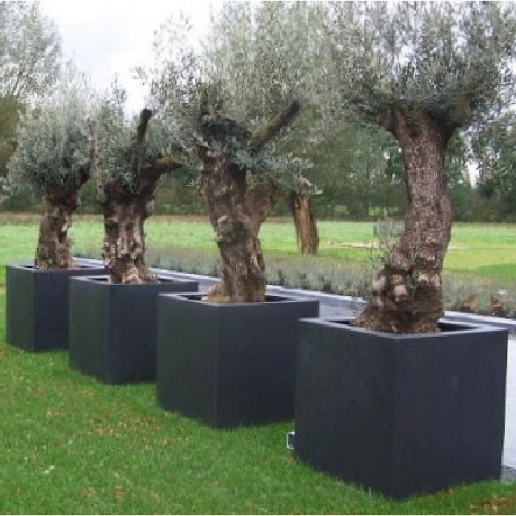 Polyester plantenbak 50x50x50cm