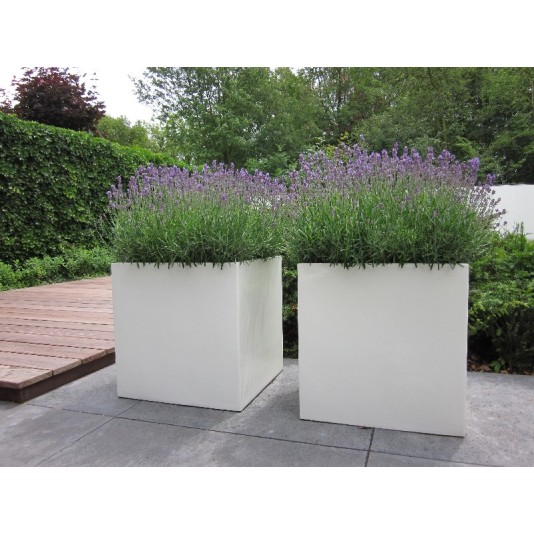 Polyester plantenbak 70x70x70cm